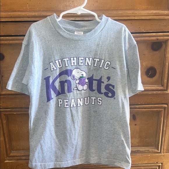 Knotts Berry Farm Kids Gray and Purple T-Shirt (worn once) - Picture 1 of 3